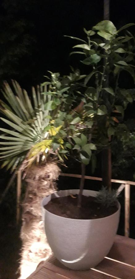 Gites Chez Daniel "Cevennes 1" Mars  Kültér fotó